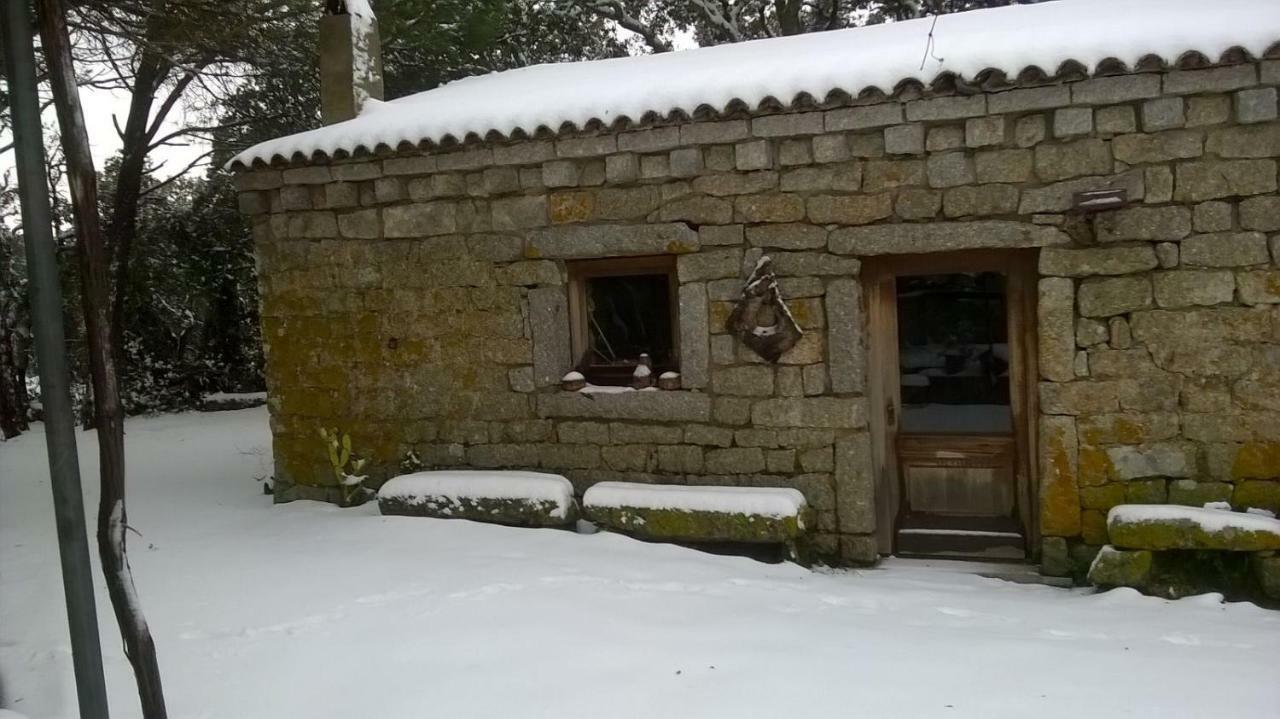 Agriturismo La Vigna Tempio Pausania Exterior foto